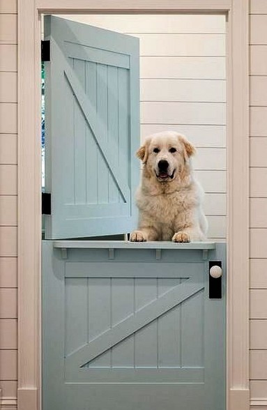 I naszym psom takie drzwi przypadłyby do gustu...