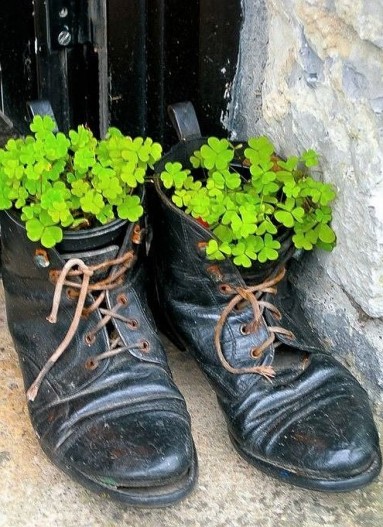 Irlandzka zieloność atakuje i stare buty...