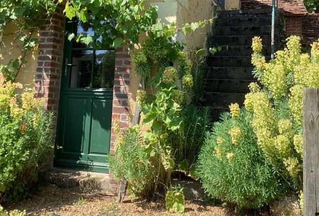 Zielone romantyczne drzwi, a wokół letnie bogactwo roślin...