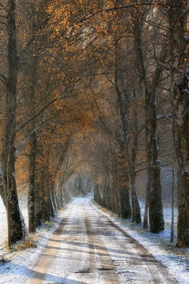 Droga od jesieni do zimy... listopad...