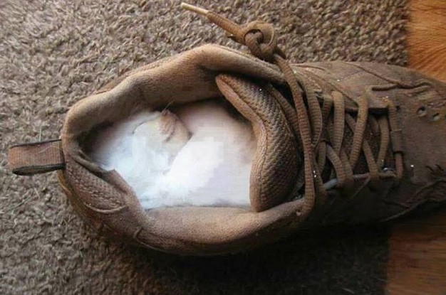 W zimowe dni trzeba bardzo ostrożnie zakładać buty...