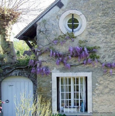 Dom w Normandii z kwitnącą glicynią...