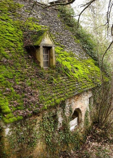 W tym opuszczonym, pięknym, starym domku zieleń sama rzuciła się na dach...