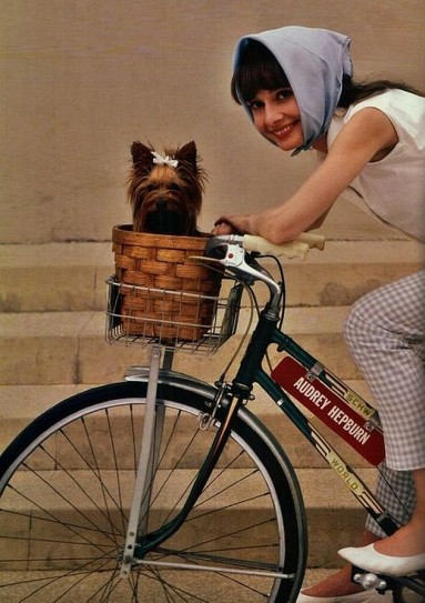 Audrey też na rowerze... sam wdzięk...