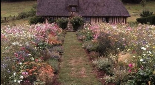 Łąki przed normandzkim domem...