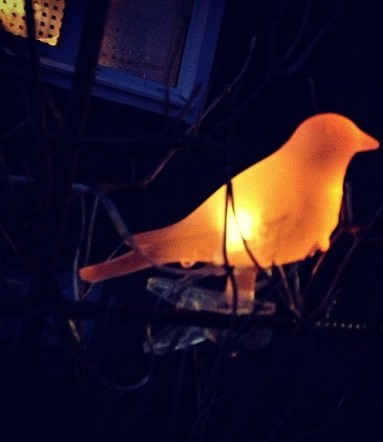 Chociaż to nie światło świecy, ale ciepłe... świecący ptaszek ma w sobie moc...
