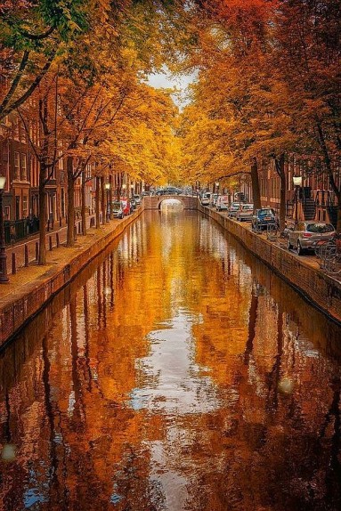 Późna jesień w Amsterdamie... oranje...