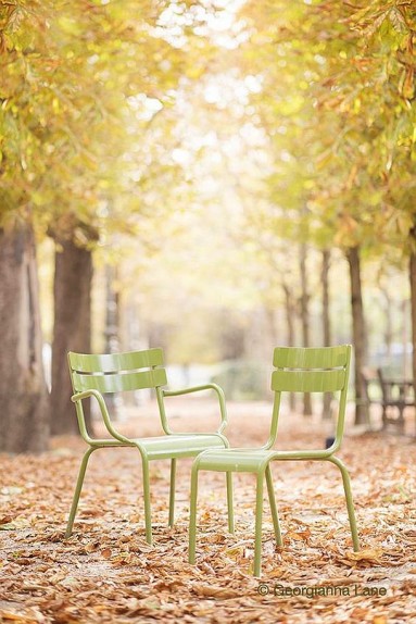 Puste, zielone krzesełka...