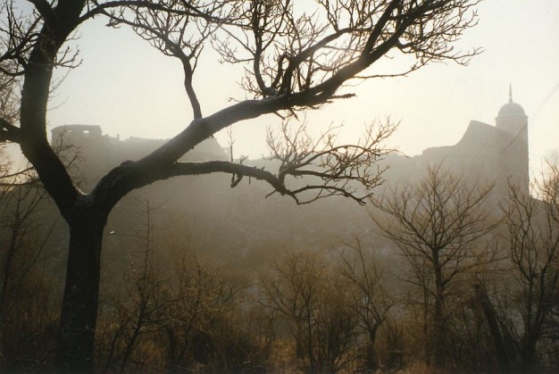 Sylweta zamku w późnojesiennym pejzażu... fot. Artur Reinhart