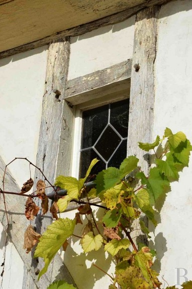 Urokliwe okienko z winoroślą...