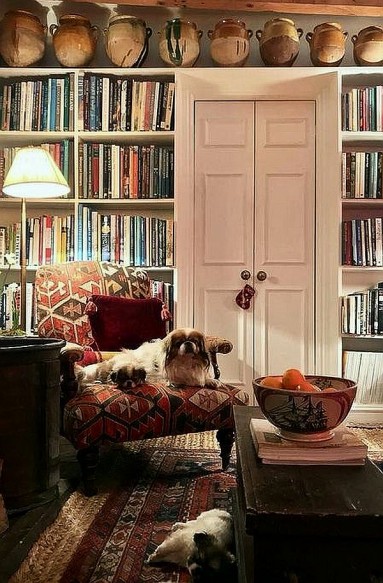 Psy biblioteczne, nasze też tak spędzają czas...